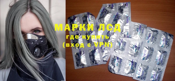 стафф Алзамай