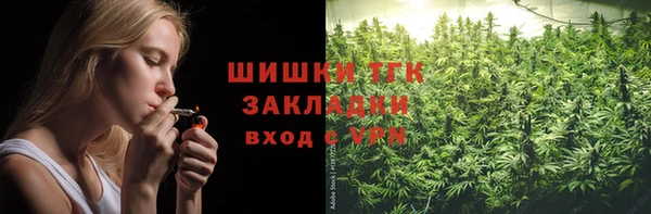 стафф Алзамай
