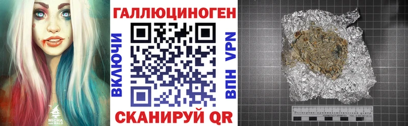 Галлюциногенные грибы Psilocybine cubensis  Коряжма 